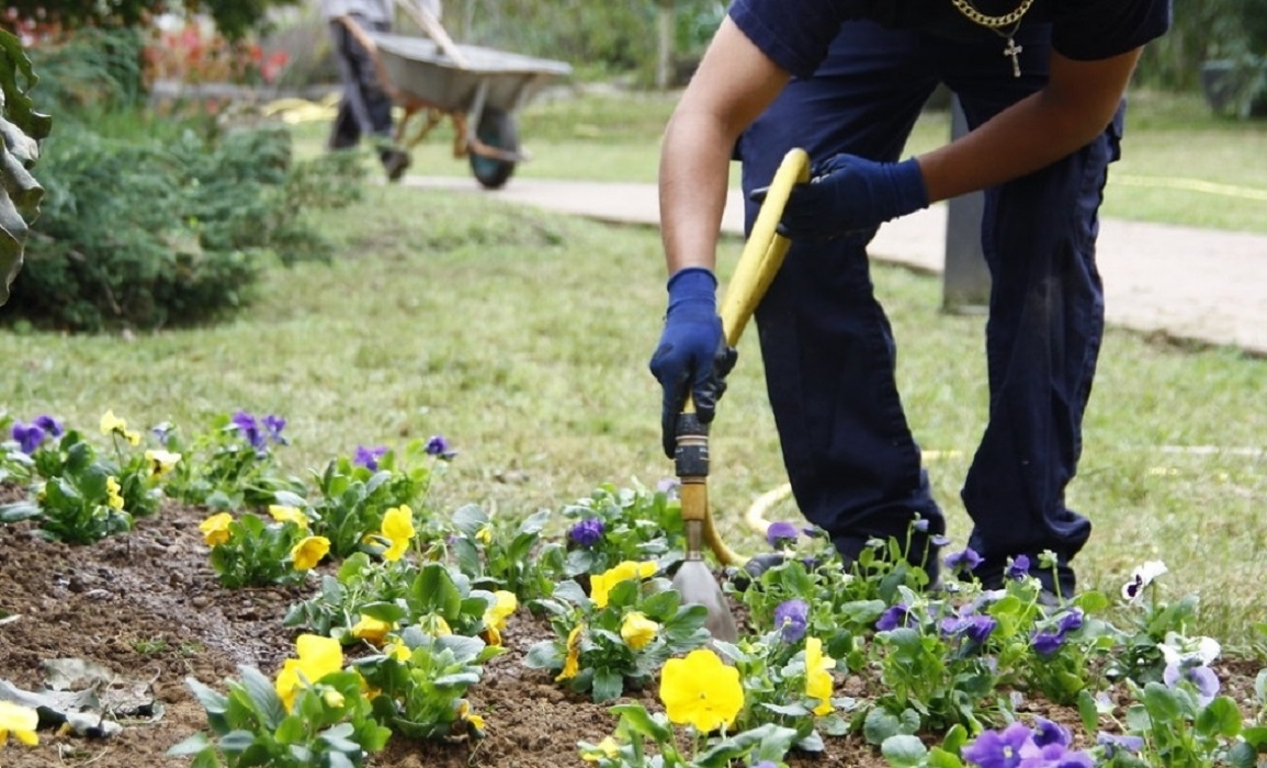 Jardinería